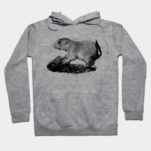 Prairie dog Hoodie by Guardi